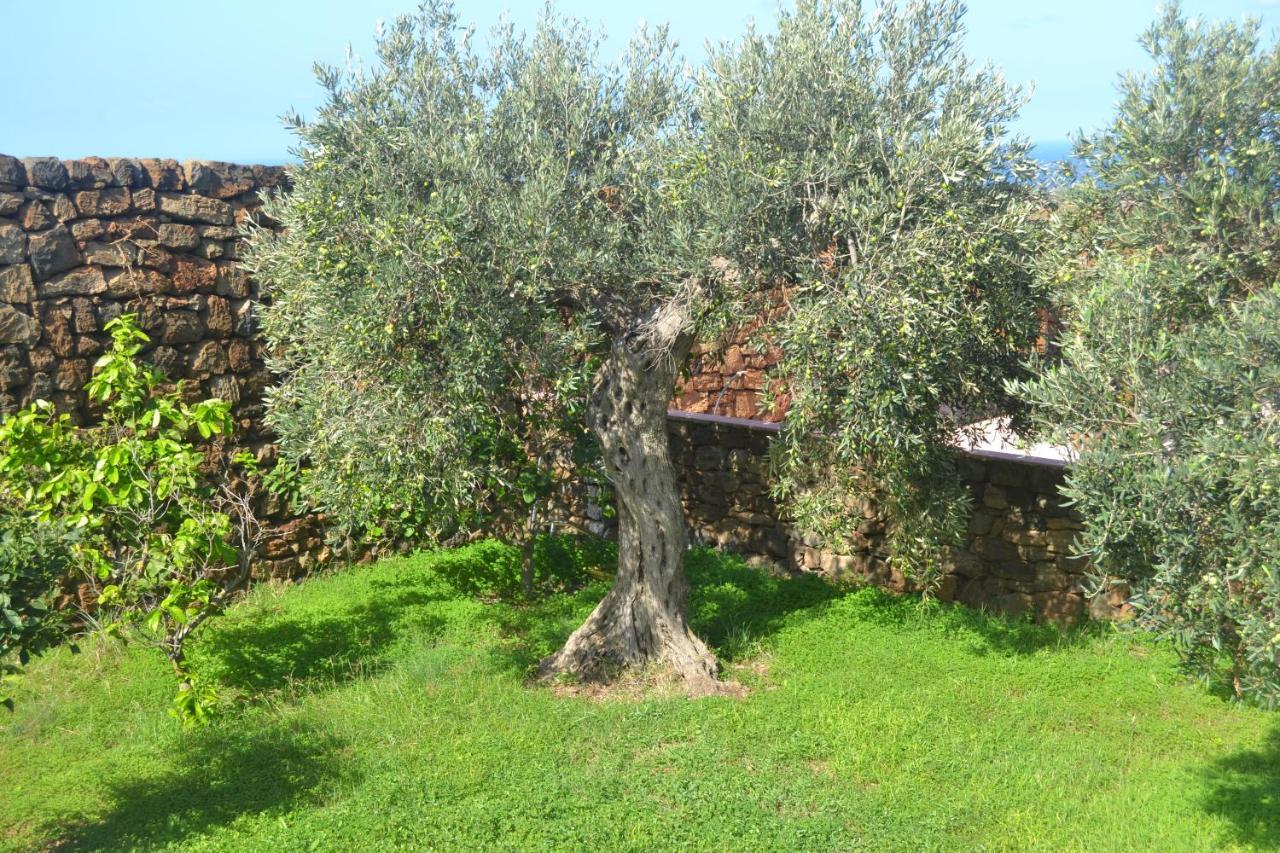 Agriturismo Zinedi Villa Pantelleria Bagian luar foto